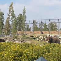 Photo taken at Grizzly &amp;amp; Wolf Discovery Center by Jolyn K. on 9/12/2022