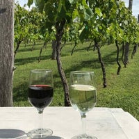 Photo taken at Mona Rose Winery by Mona Rose Winery on 2/3/2022