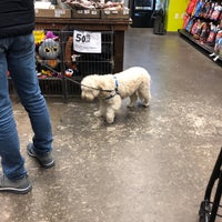 Photo taken at Unleashed by Petco by Robin D. on 10/19/2019