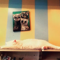 Chat Mallows Cafe 8 Tips