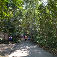 Photo taken at Bukit Timah Nature Reserve by Gato T. on 4/23/2022