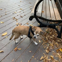 Photo taken at Tompkins Square Park Dog Run by Emily R. on 10/10/2020