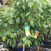 Dcmカーマ 瀬戸店 園芸館 瀬戸市 愛知県