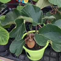 Dcmカーマ 瀬戸店 園芸館 瀬戸市 愛知県