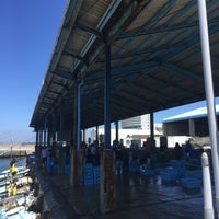 渥美魚市場 伊良湖町宮下3000 3 渥美魚市場 伊良湖町宮下3000 3