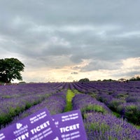 Photo taken at Mayfield Lavender Farm by M O H A on 8/19/2023