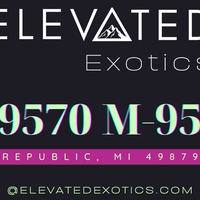 Photo taken at Elevated Exotics Republic Recreational Cannabis Dispensary by Elevated Exotics Republic Recreational Cannabis Dispensary on 3/1/2023