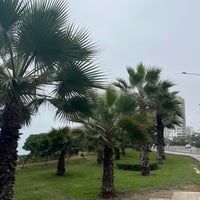 รูปภาพถ่ายที่ Malecón Cisneros โดย Nadia T. เมื่อ 6/6/2022