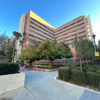 Photo taken at UCLA Semel Institute For Neuroscience by Antonio F. on 1/10/2024