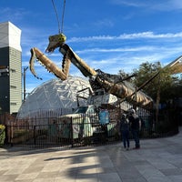 Photo taken at Downtown Container Park by Josh A. on 11/11/2022