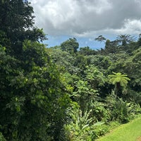 Photo taken at El Yunque National Forest by Josh A. on 5/1/2024