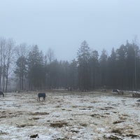 Photo taken at Keskuspuisto by Dmitry L. on 3/16/2024