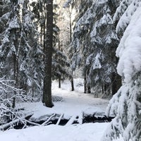 Photo taken at Kivikon metsä by Dmitry L. on 1/3/2023