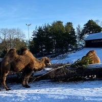Photo taken at Korkeasaari Zoo by Dmitry L. on 2/6/2023