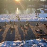 Photo taken at Pikku Huopalahden puisto by Dmitry L. on 3/31/2023