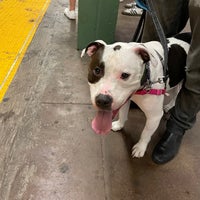 Photo taken at MTA Subway - Bedford Ave (L) by Jacqueline S. on 6/26/2022