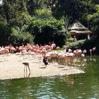 Photo taken at Prague Zoo by Baru Š. on 8/29/2017
