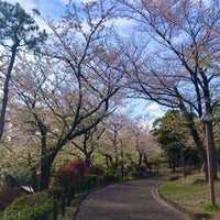 Photo taken at Asukayama Park by Clapton on 4/12/2024
