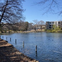 Photo taken at Shakujii Park by あん on 3/13/2024