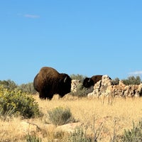 Photo taken at Antelope Island State Park by Ric N. on 9/18/2023