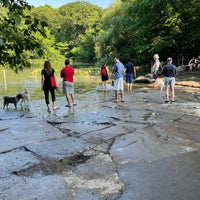 Photo taken at Prospect Park Dog Beach by Phil C. on 6/26/2022