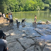 Photo taken at Prospect Park Dog Beach by Phil C. on 7/24/2022