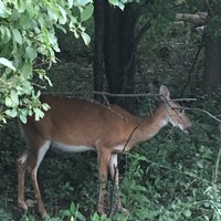 Photo taken at Schiller Woods by Andrii on 6/28/2017
