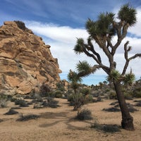 Photo taken at Joshua Tree National Park by Leah B. on 3/5/2017