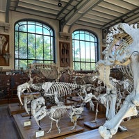 Photo taken at Galerie de Paléontologie et d&amp;#39;Anatomie comparée by Silvina O. on 9/6/2023
