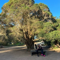 Photo taken at Wollongong Botanic Gardens by LizaIphone 2. on 8/17/2022