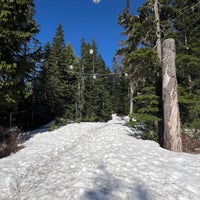 รูปภาพถ่ายที่ Grouse Mountain โดย Asma เมื่อ 5/11/2024