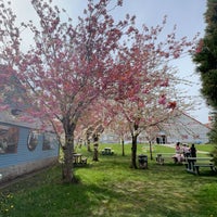 Photo taken at Steveston Fisherman&amp;#39;s Wharf by Asma on 4/10/2024