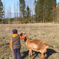 Photo taken at Марфино by Санечка М. on 5/1/2020