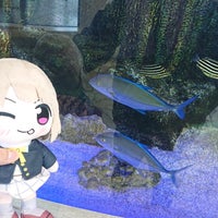 Photo taken at Aqua City Resort Aquarium Blue Hall by 甲斐瀬二 on 1/23/2024