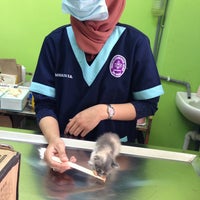 Klinik Veterinar Muezza Now Closed Gombak Kuala Lumpur Kuala Lumpur 3 Tips From 352 Visitors