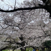 Photo taken at Kinuta Park by 歯滒 on 4/4/2024