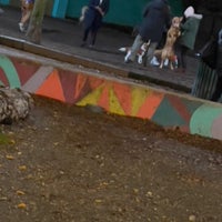 Photo taken at Belltown Dog Park by Bill H. on 11/8/2023