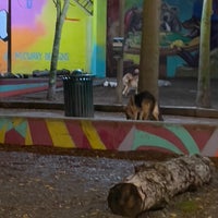 Photo taken at Belltown Dog Park by Bill H. on 11/8/2023