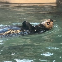 Photo taken at Seattle Aquarium by Bill H. on 12/17/2023