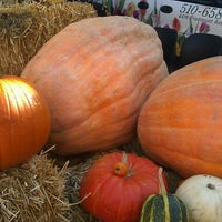 Foto tomada en Piedmont Avenue Pumpkin Patch &amp;amp; Haunted House  por Kevin R. el 10/29/2012