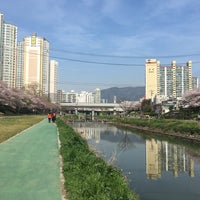 Photo taken at Oncheoncheon Stream by Janice L. on 4/8/2017