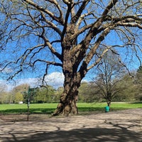 Photo taken at Bute Park by Adel ..! on 4/16/2024