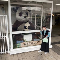 Photo taken at Giant panda by Taizi N. on 10/15/2022