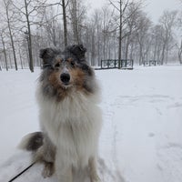 Photo taken at Kadriorg Park by Flaki on 1/12/2024