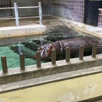 Photo taken at Hippopotamus by たまきんの ふ. on 8/23/2023