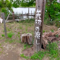 Photo taken at 矢切の渡し by みみず on 6/8/2023