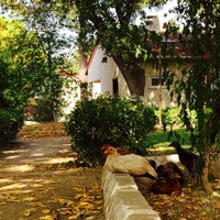 oren ortur evleri 3 conseils de 1082 visiteurs