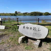 Photo taken at 矢切の渡し by げん on 10/13/2023