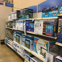 petsmart palm beach lakes