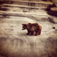 Photo taken at Sofia Zoo by Pavel Y. on 4/13/2013